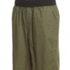 PrAna Men's Vaha Shorts Cargo Green