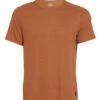 PrAna Men's Prospect Heights Crew Neck T-Shirt
